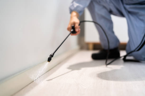 Bed Bug Pre-Treatment Preparation Assessment in Hurstbourne Acres