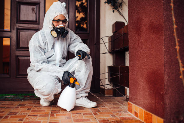 Multi-Unit and Airbnb Bed Bug Protocol in Hurstbourne Acres