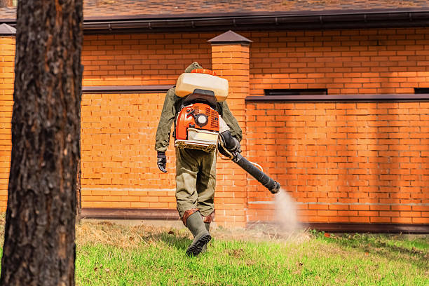 Bed Bug Clearance Verification and Documentation in Hurstbourne Acres
